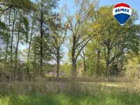 8.693 m² Wald- und Teichgrundstück...ein Ort der Erholung und Entspannung Niedersachsen - Kirchgellersen Vorschau