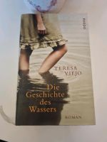 Die Geschichte des Wassers: Roman von Teresa Viejo | Buch | Zusta Nordrhein-Westfalen - Geilenkirchen Vorschau