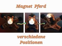 Süßes Magnet Tier Pferd Pony Kühlschrank NEU! Kreis Pinneberg - Quickborn Vorschau