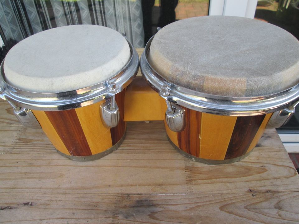 Bongos-Trommel in Hage