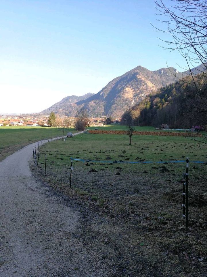 Ferienwohnung in Bayern, Chiemgauer Alpen, Urlaub mit Hund in Marquartstein