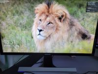 Bildschirm Gaming 28" Samsung 1ms Reaktionszeit 4K Thüringen - Altenburg Vorschau