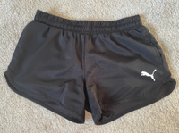 Laufshorts Sachsen-Anhalt - Halle Vorschau