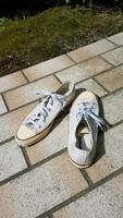 Converse,Chucks,All Star,weiss,Gr.43,Gr.9.5,Sneaker❌❌❌❌❌ Bayern - Ingolstadt Vorschau