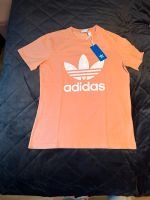 T-Shirts Adidas Gr M neue mit Artikel Duisburg - Homberg/Ruhrort/Baerl Vorschau