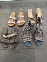 Schuhe Damen/ Damenschuhe/ Markenschuhe Essen - Essen-Borbeck Vorschau