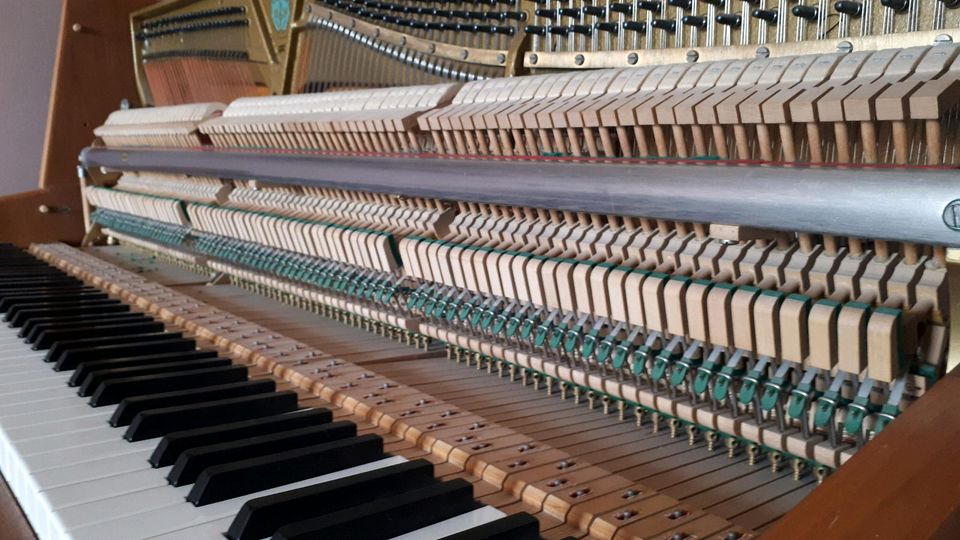 Klavier SAUTER Modell 108 in Nussbaum in Freising