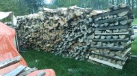 Brennholz abgelagert Bayern - Eslarn Vorschau