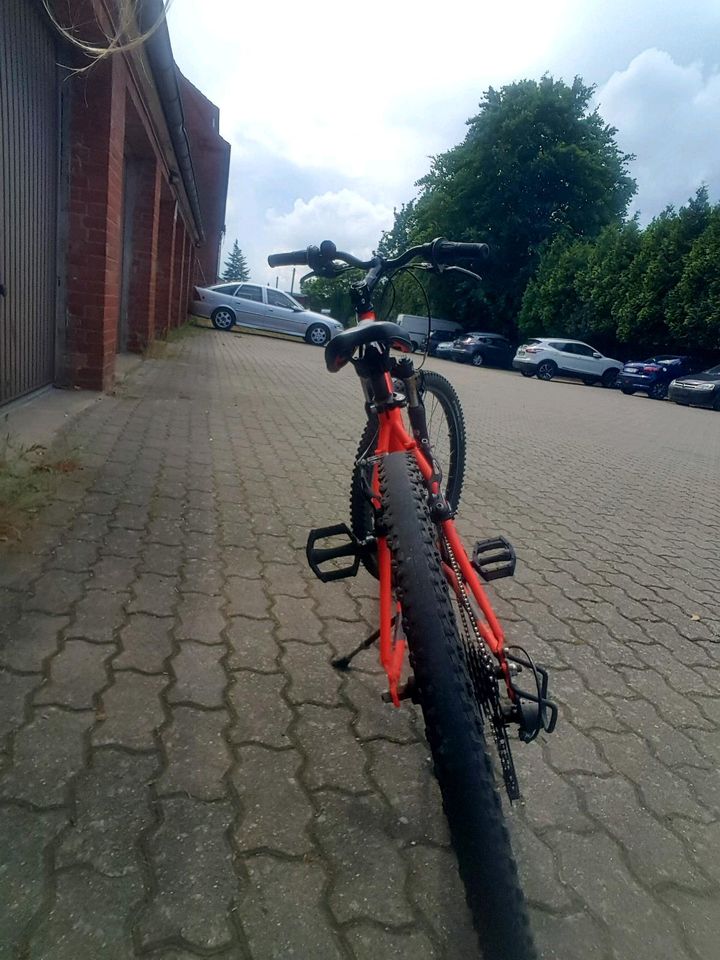 24- er Fahrrad Kinderfahrrad Trakkingrad Mountenbike in Geesthacht