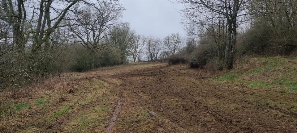 Forstmulchen, Mulchen in Schotten