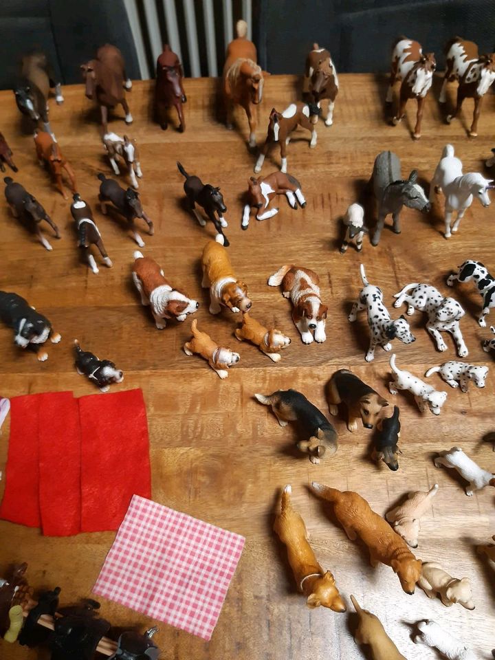 Riesen Schleich Sammlung in Homburg