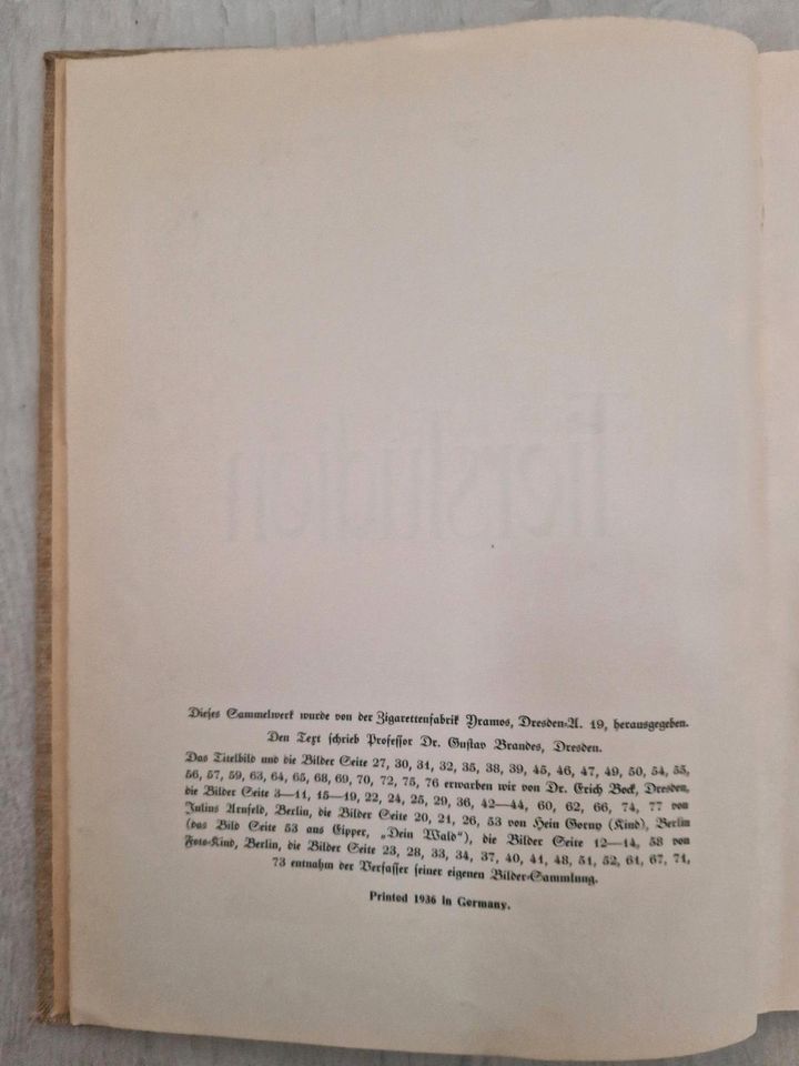 Tierstudien Sammelalbum von 1936 Prof. Dr. Brandes Dresden in Ferch