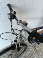 Herren Fahrrad Mountainbike Köln - Nippes Vorschau