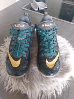 Nike LeBron James Low Carbon Rheinland-Pfalz - Idar-Oberstein Vorschau