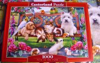 Castorland  C-104406-2,  Pets in the Park, Puzzle 1000 Teile Niedersachsen - Wathlingen Vorschau