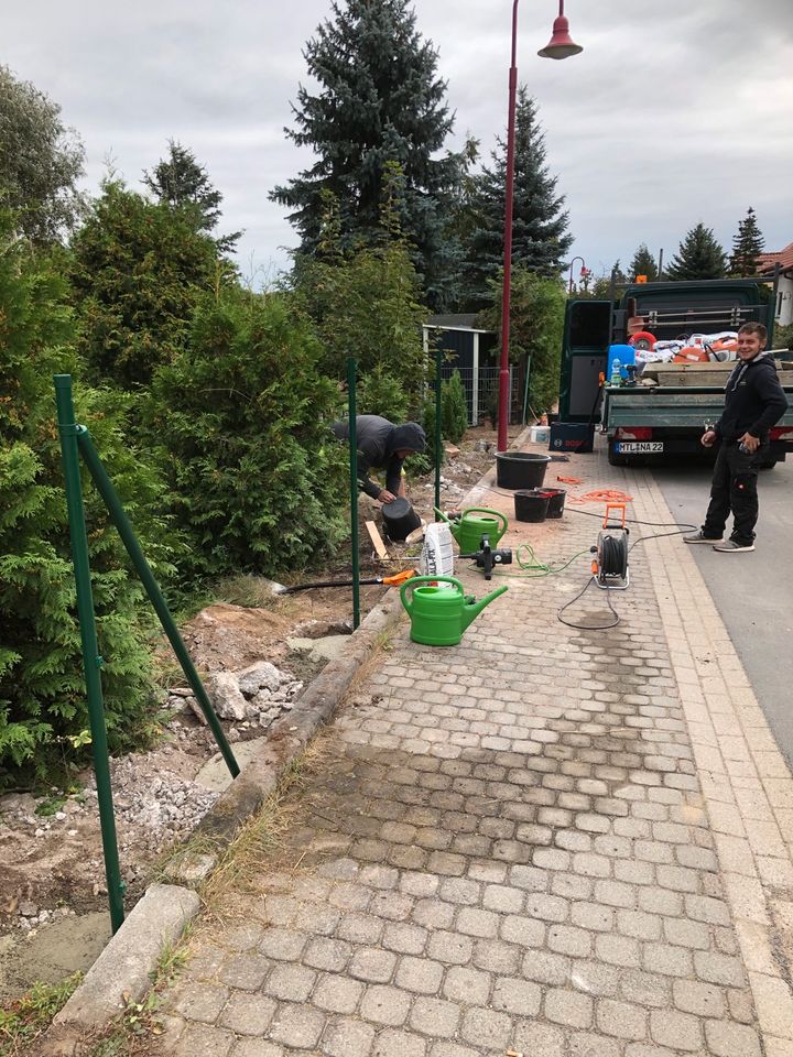 Hecke schneiden, Pflasterarbeiten, Zaunbau, Baumfällarbeiten in Hartha