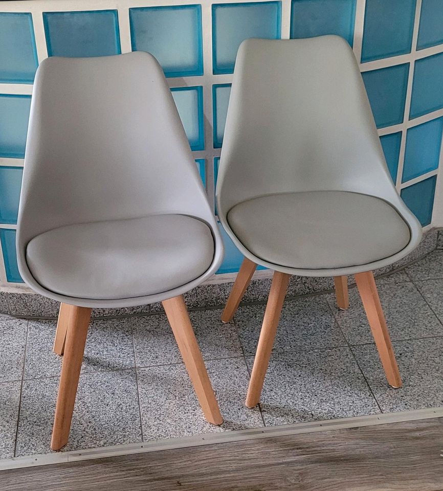 4 Schalenstühle Stühle Leder grau in Friedrichsthal
