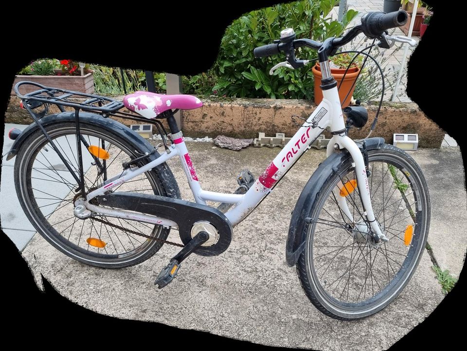 Kinderfahrrad von Falter FX 403 Pro 19" in Butzbach