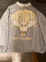 Hogwarts Pullover 158/164 Sachsen - Reichenbach (Vogtland) Vorschau