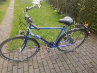 HEIDEMANN Herrenfahrrad Trekkingrad 28 Zoll RH 54cm Hessen - Gladenbach Vorschau