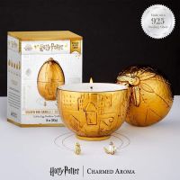 Harry Potter Golden Egg Candle, 925 Sterling Silber Halskette Leipzig - Grünau-Ost Vorschau