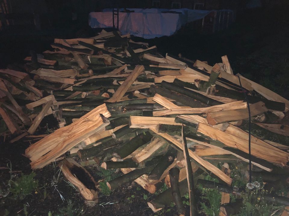 Buche Brennholz frisch gespalten 1 Meter in Brakel