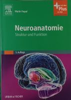 Neuroanatomie: Struktur und Funktion Bayern - Forchheim Vorschau