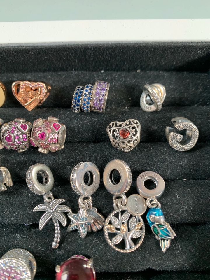 Pandora Charms/Clips in Neumünster