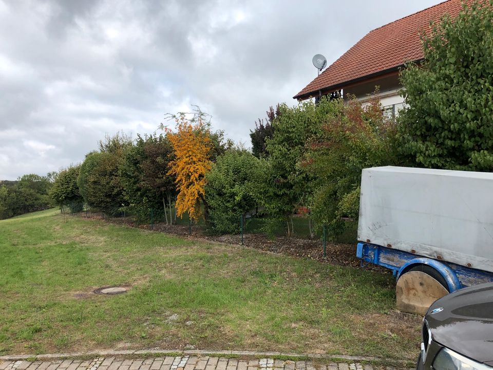 Gartenpflege, Heckenschneiden, Rasenmähen, unkrautentfernen in Krautheim