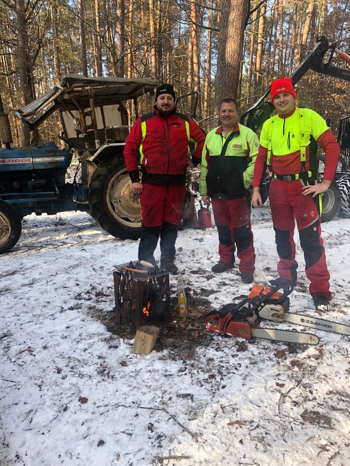 Lohnsägen - Sägewerk in Röbersdorf in Hirschaid