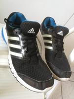 2 Paar Schuhe Paket adidas + pro touch Sneaker Turnschuhe Grö. 43 Sachsen - Torgau Vorschau
