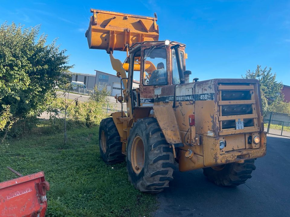 Radlader IHC 515,Knicklenker in Igersheim