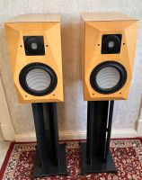 Consensus Audio high end Lautsprecher / Monitore Güstrow - Landkreis - Güstrow Vorschau