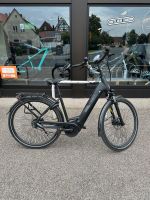 Pegasus Solero Evo 8R 500WH 50cm schwarz E-Bike Tiefeinsteiger Bayern - Schnaittach Vorschau