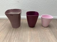 3 Orchideen Töpfe Blumentöpfe Rosa Pink Lila Orchideentöpfe Stuttgart - Vaihingen Vorschau