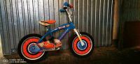 Kinderfahrrad dusty 16 Zoll Rahmenhöhe 25cm Leipzig - Burghausen-Rückmarsdorf Vorschau