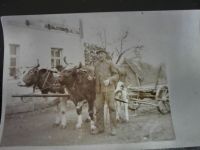 Altes Foto Vintage Bauer mit Ochsengespann 1910 Sachsen - Neustadt Vorschau