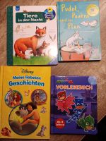 verschiedene Kinderbücher Niedersachsen - Ostrhauderfehn Vorschau