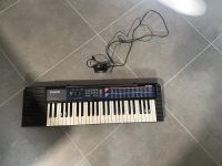 Casio Keyboard CA-110 ohne Funktion Bayern - Neu Ulm Vorschau