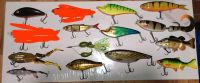 Hardbaits Topwater Jerkbaits Wobbler Swimbait Westin Rapala Salmo Nordrhein-Westfalen - Castrop-Rauxel Vorschau