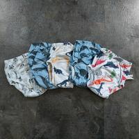 Set Trainingsslips Unterhosen Gr. 92/98 wasserdicht Brandenburg - Königs Wusterhausen Vorschau