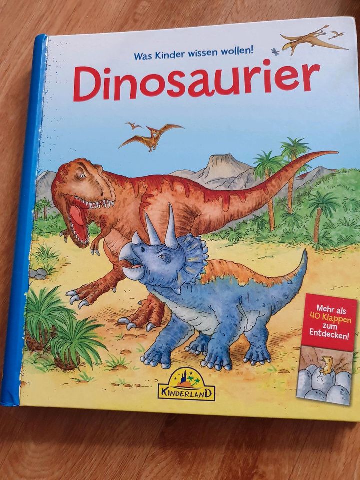 Dinosaurier + Buch in Stendal