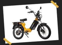 mopedix Electrix NEUHEIT!!! E-Roller 45km/h 4KW Sachsen - Ottendorf-Okrilla Vorschau