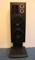 HiFi Standlautsprecher Lautsprecher 2x 500W Boxen Rostock - Evershagen Vorschau