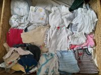 Kinderkleidung Baby 56-92, Schuhe, Schlafsäcke, Jacken Schleswig-Holstein - Plön  Vorschau