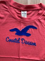 Hollister Tshirt Gr. S Hannover - Ricklingen Vorschau