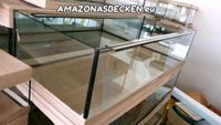 150x50x40 Aquarium 300l Axolotl Malawi Meerwasser Riff NEU Niedersachsen - Bad Nenndorf Vorschau