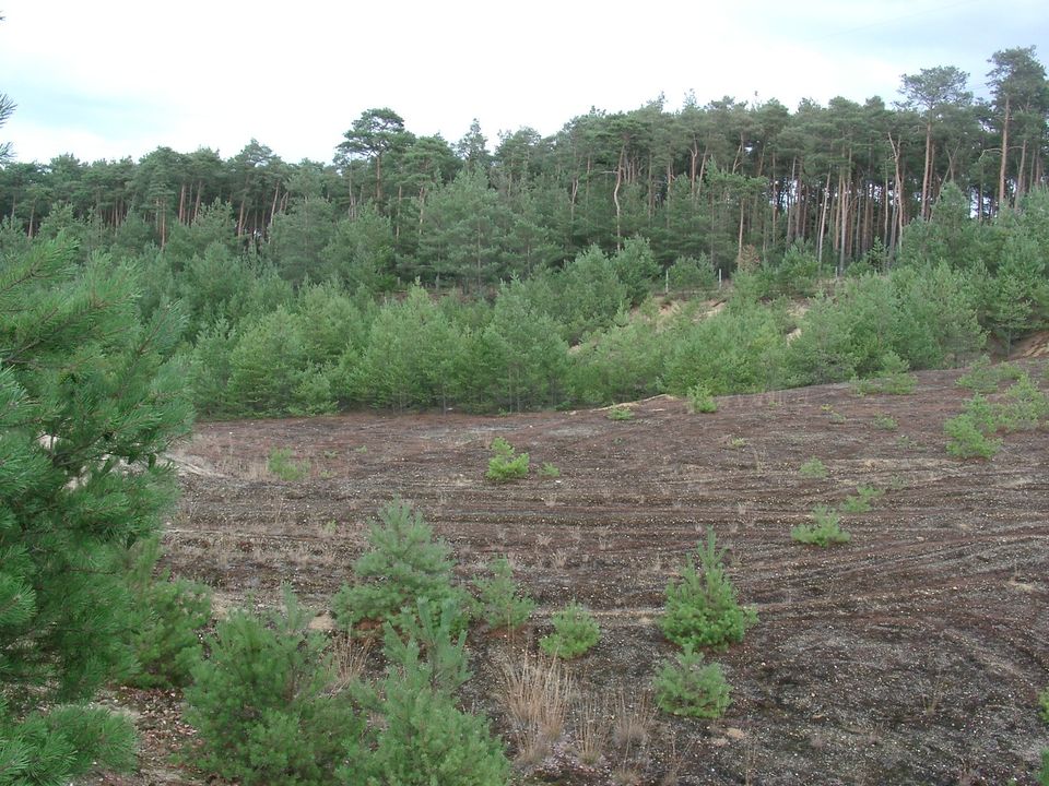 Baugrundstück für Naturliebhaber in Wehrhain