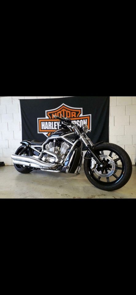 Harley Davidson V Rod in Gifhorn