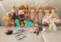 Barbie und Co sammlung Dresden - Pieschen Vorschau